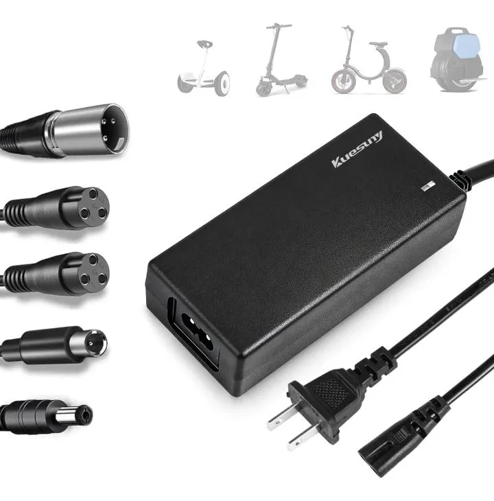 Cargador Scooter Para Batería 42v 2a Universal, 5 enchufes